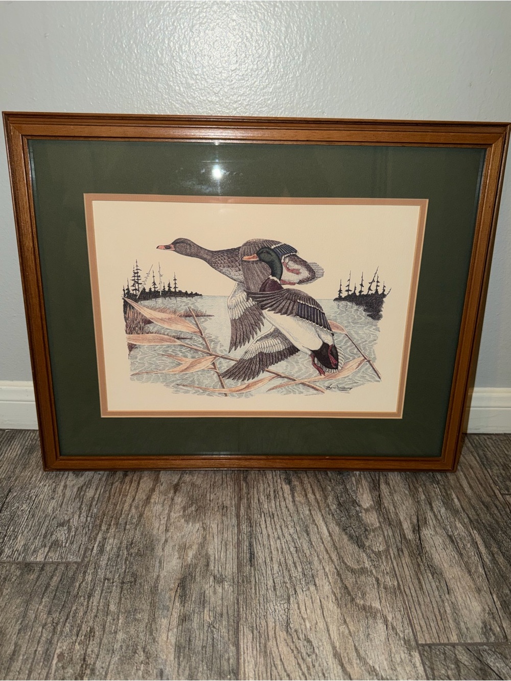 Gene Murray Framed Mallard Duck Wildlife Art Print